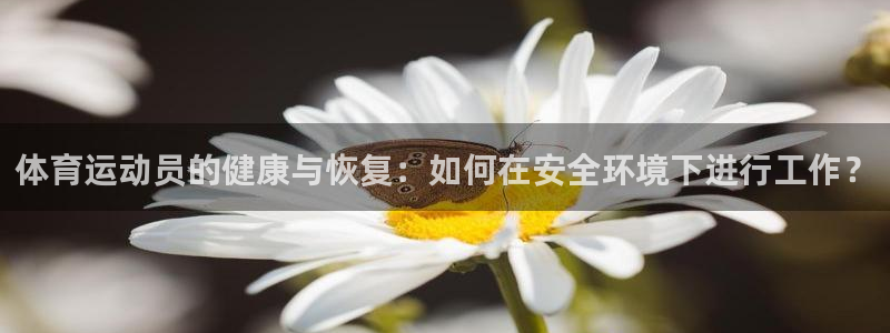 企鹅体育鹅肝充值