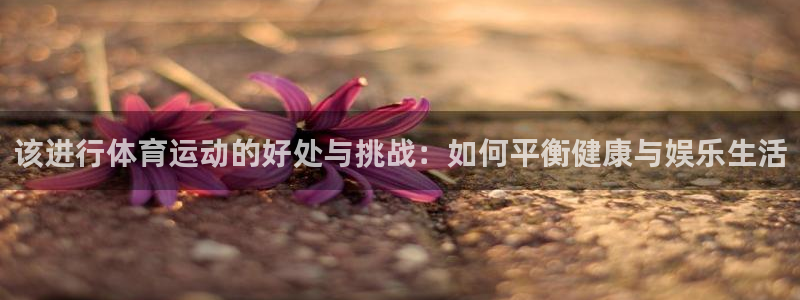 企鹅体育外网app最新版本更新内容