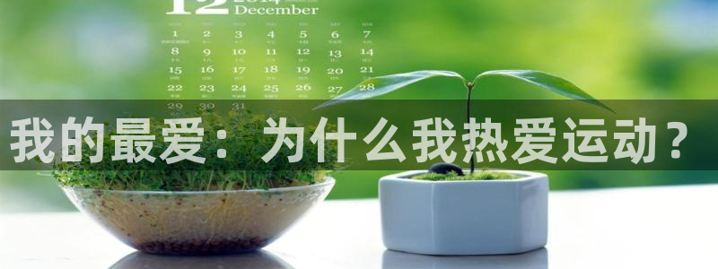 企鹅体育篮球
