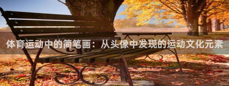 企鹅体育官网入口