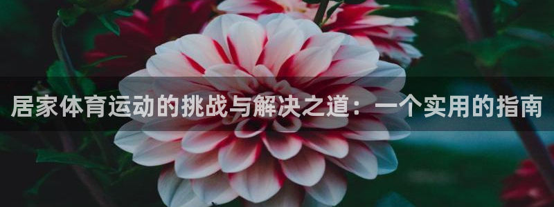 企鹅体育玛莎f1：居家体育运动的挑战与解决之道：一个实用的指南