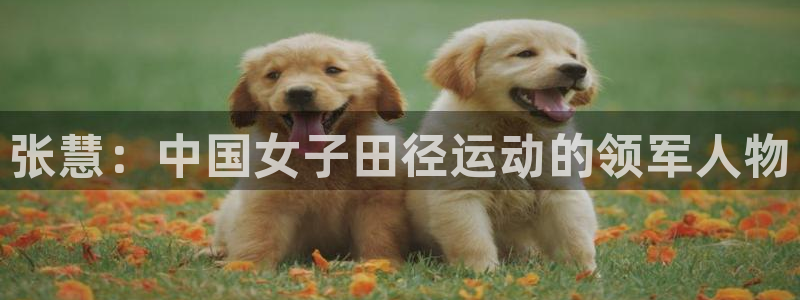 企鹅体育拼音：张慧：中国女子田径运动的领军人物