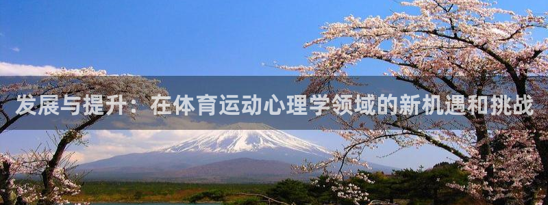 企鹅体育电视版