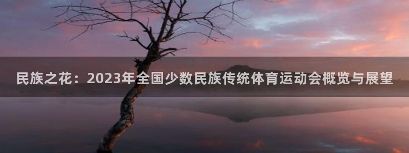企鹅体育马莎f1：民族之花：2023年全国少数民族传统体育运动会概览与展望
