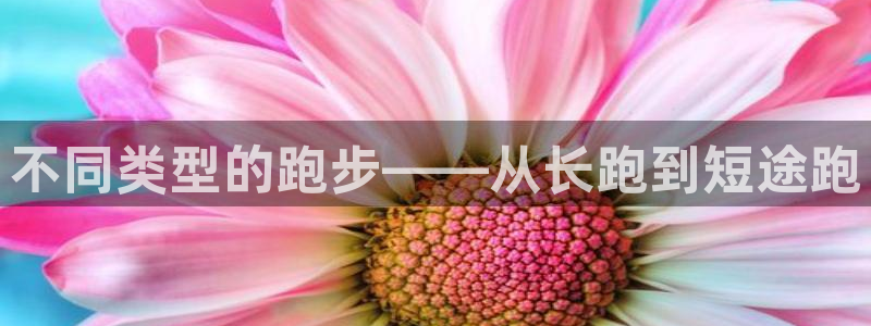 企鹅体育排球直播