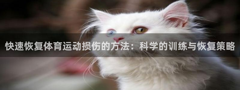 企鹅体育玛莎拉车