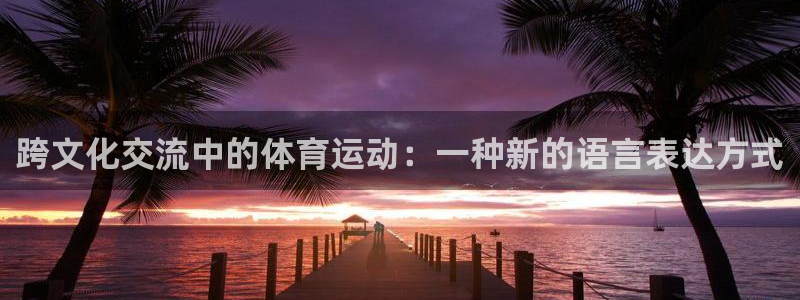 企鹅体育女排：跨文化交流中的体育运动：一种新的语言表达方式
