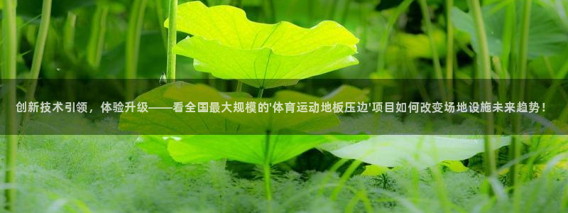 企鹅体育台：创新技术引领，体验升级——看全国最大规模的\'体育运动地板压边\'项目如何改变场地设施未来趋势！